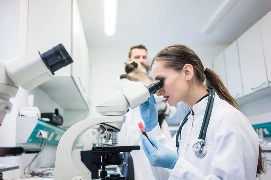 Imagem ilustrativa de Laboratório veterinário perto de mim