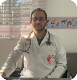Júlio P. dos Santos