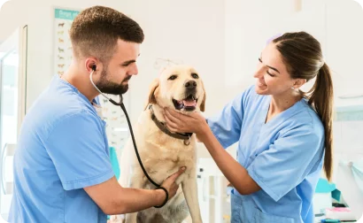 Veterinários